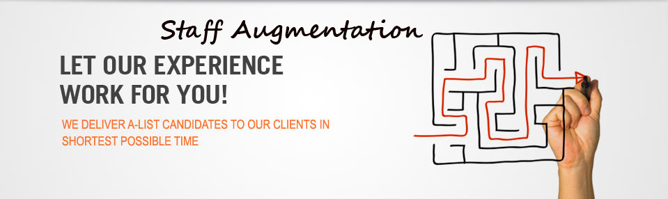 Staff Augmentation