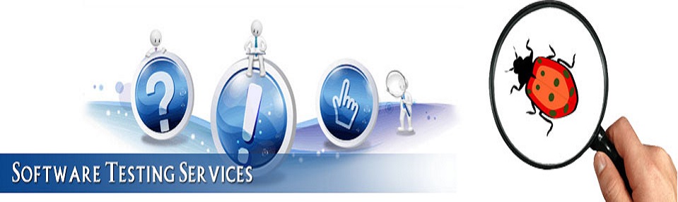 Software Testing